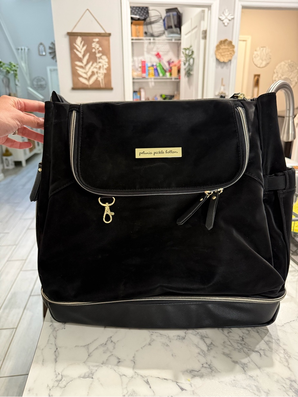 Petunia Pickle bottom Boxy Backpack